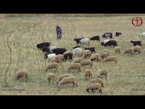 FeG FFB - Predigt - 25.08.2019 - Psalm 23 – Der HERR ist mein Hirte