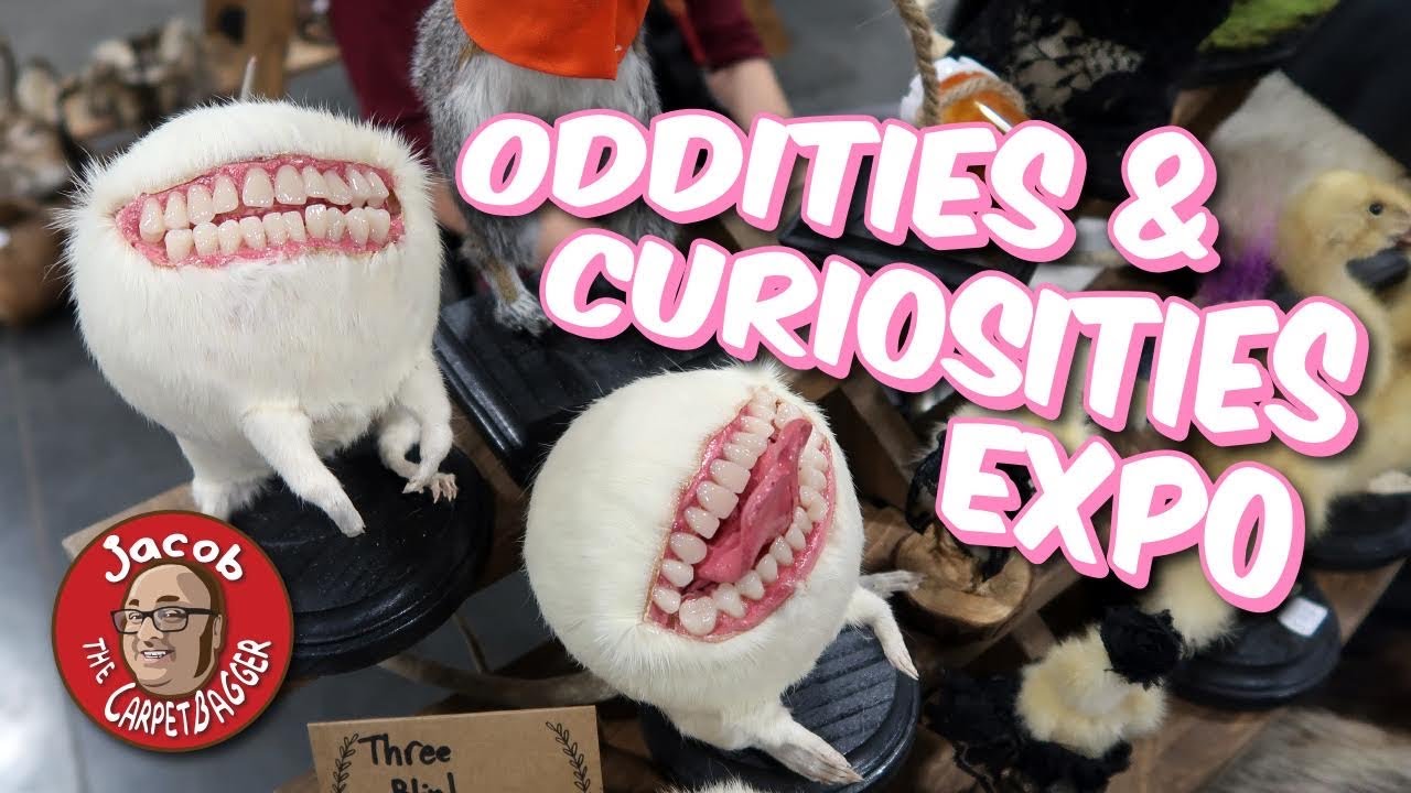 Oddities And Curiosities Expo 2023 2023 Calendar