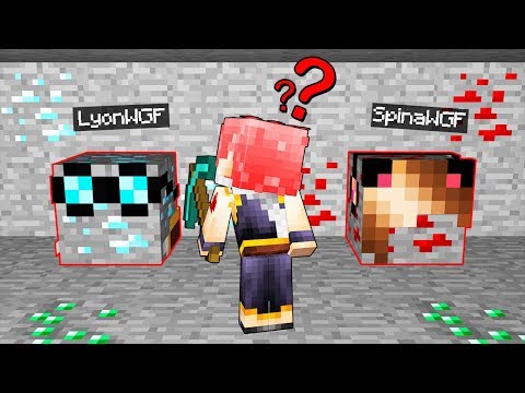 NASCONDINO CON I MINERALI DI MINECRAFT!