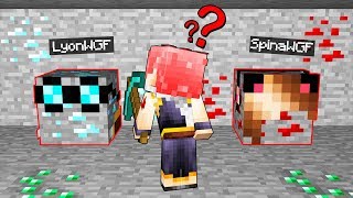 NASCONDINO CON I MINERALI DI MINECRAFT!