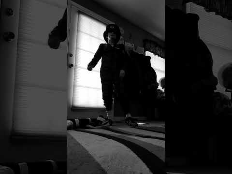 concerts of moskovvicky ensemble - febuary 26 2022