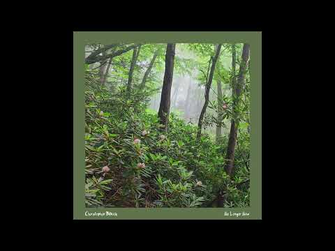 Christopher Black - No Longer New