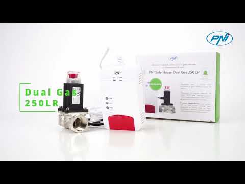 Kit PNI Safe House Dual Gas 250LR cu 2 senzori monoxid de carbon  RO