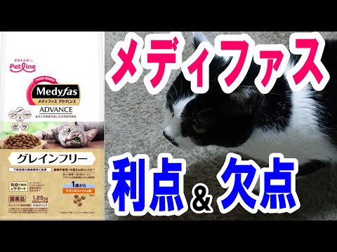 穀物不使用のキャットフード:量が重要です!
