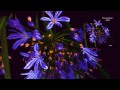 Donnacha Costello - To Thee This Night (I Will No Requiem Raise) 'Pop Ambient 2004' Album