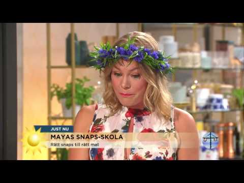 Mayas snapsskola: Steffo: "Dricker hellre spolarvätska" - Nyhetsmorgon (TV4)