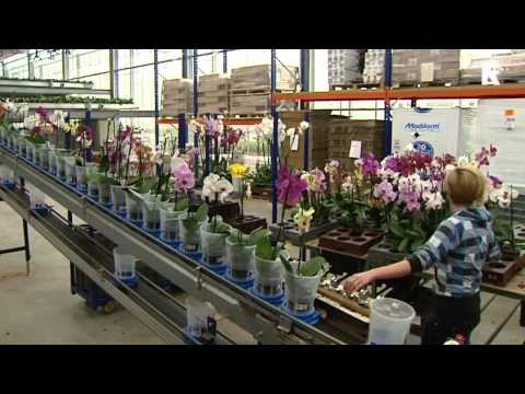 Rijnmond Nieuws 3 april 2012