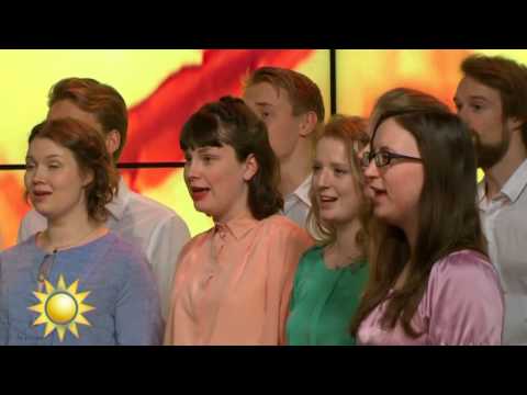 Sofia Kammarkör - Uti vår hage - Nyhetsmorgon (TV4)