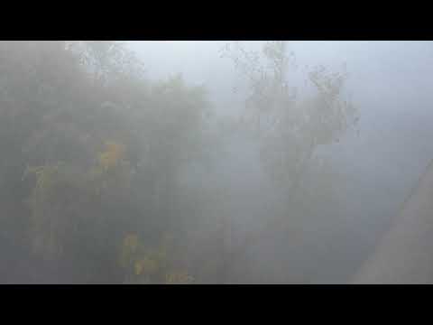 NS Intermodal Train Passing through HEAVY Fog in Sewickley, PA - 10/17/2020
