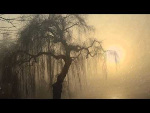 Eric Satie : Gnossiennes 1 - 3 / Reinbert de Leeuw ( piano)
