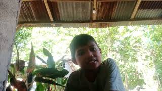 Download lagu bukan saingan official video music mp3