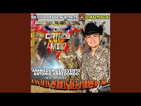 El Prieto De 3 Coronas