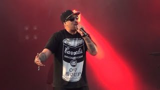 Cypress Hill - When the Shit Goes Down + How I Could Just Kill a Man - Live Beauregard 2015