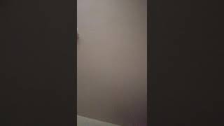 &quot;Angel Of Sin&quot; - by Hank Williams III , covered by k8θ InC.