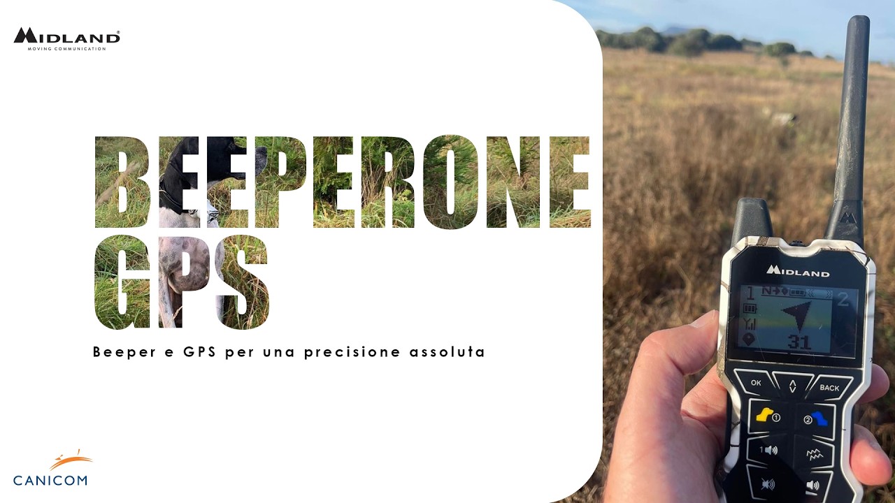 Video Articolo