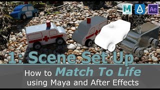 Video Series: Match to Life
