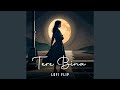 Tere Bina Lofi Flip