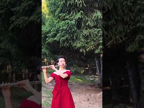 Uyghur music - Tarim | تارىم