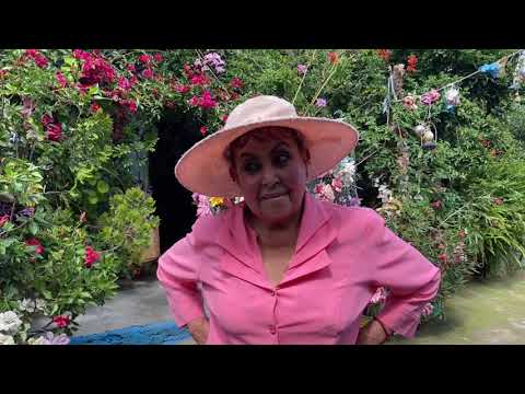 DOÑA AMELIA ESTRENA SU PATIO CON UN BUEN BAILE