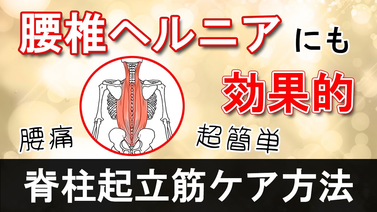 【腰椎ヘルニア】【腰痛】脊柱起立筋　超簡単セルフケア
