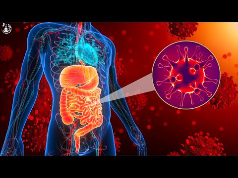 Alfa -Wellen (Warnung: sehr mächtig!) In 5 Minuten heilt Musik alle Heilung und nimmt zu und nimmt z