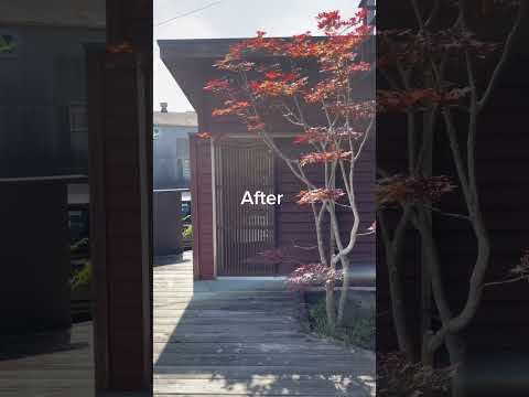 冬に剪定する植物: 冬に剪定すると恩恵を受ける植物に焦点を当てる  庭園