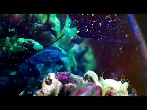 MAKRÓ VJ x Wave of Sound: ECHOES