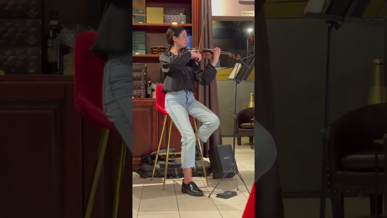 Promotional video thumbnail 2 for Sofia Sednef Violin