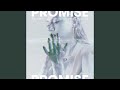 Promise