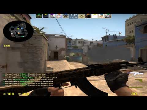 Steam Community :: Video :: csgo victory royale!!11!