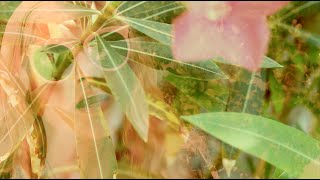 Katy Rose | Baby One More Time | Poolside Plays