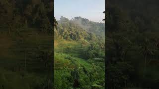 Download lagu Wilujeng enjing #shorts mp3