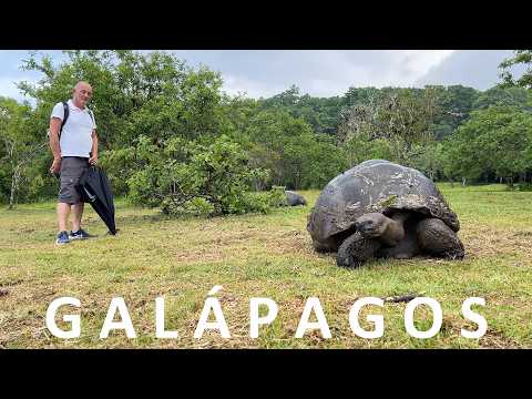 Ep. 48 -  Galápagos - Entdeckungstour mit einmaliger Natur auf Santa Cruz