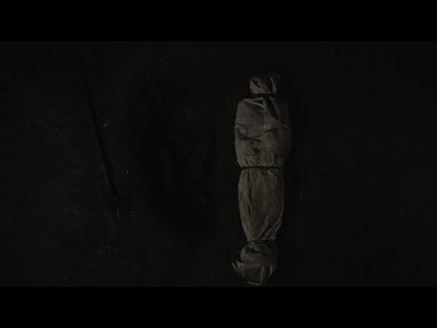 Sajad Shahi - FALL (Official Music Video) (Directed by @MTEEN)