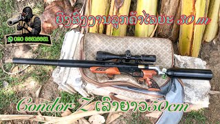 ຍິງເທສສົ່ງງານ PCP Condor Z ເລົາຍາວ50Cm (ยิงเทสส่งงานPCP condor Z) ໂທຫລືແອັບ 02056516881