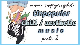 Unpopular aesthetic background music/audios