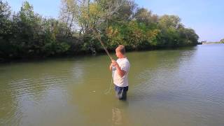 preview picture of video 'Fishing.mp4'