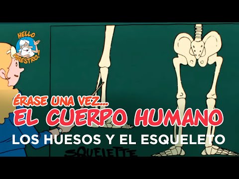 Erase Una Vez... El Cuerpo Humano - Los huesos y el esqueleto