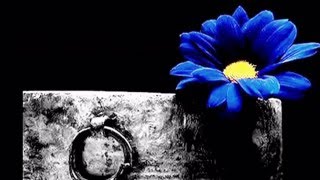 Joaquin Sabina - donde habita el olvido