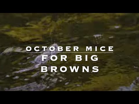 October Mice for Brown Trout