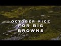 October Mice for Brown Trout