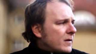 The Bunny Feeling - Lights