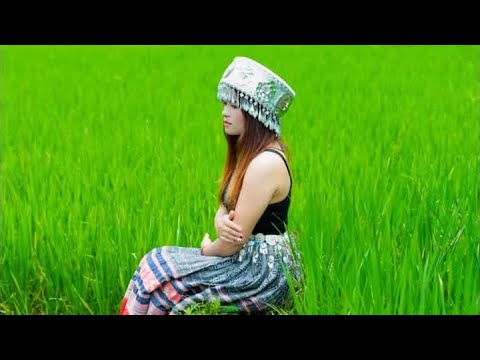 Neej Tsis Sib Hlub. YirYang nkauj tawm tshiab (18/07/2020)