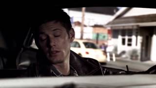 Bones Into Dust | Fred Haring