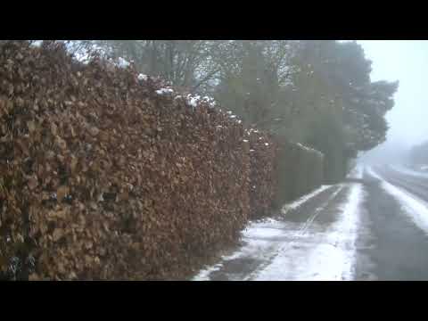 MongoTV_7975 - MIN GÅTUR - Del 15 - 2.Juledag SØNDAG 26.December 2021 - HVID JUL