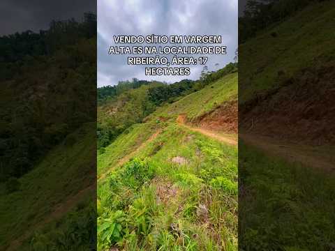 VENDO SÍTIO EM VARGEM ALTA ES NA LOCALIDADE DE RIBEIRÃO, ÁREA: 17 HECTARES ( 172.360,00 M2 ) #sitio