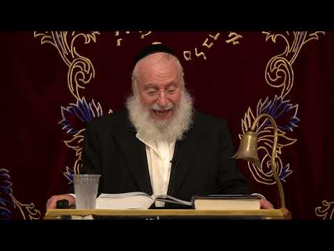 גדרי הצומות | שיעור שבועי מאת מרן הרב אשר וייס שליט"א (תשפ"ה)
