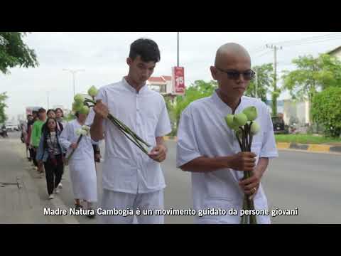Attivisti di Madre Natura Cambogia in carcere: aiutaci a liberarli!