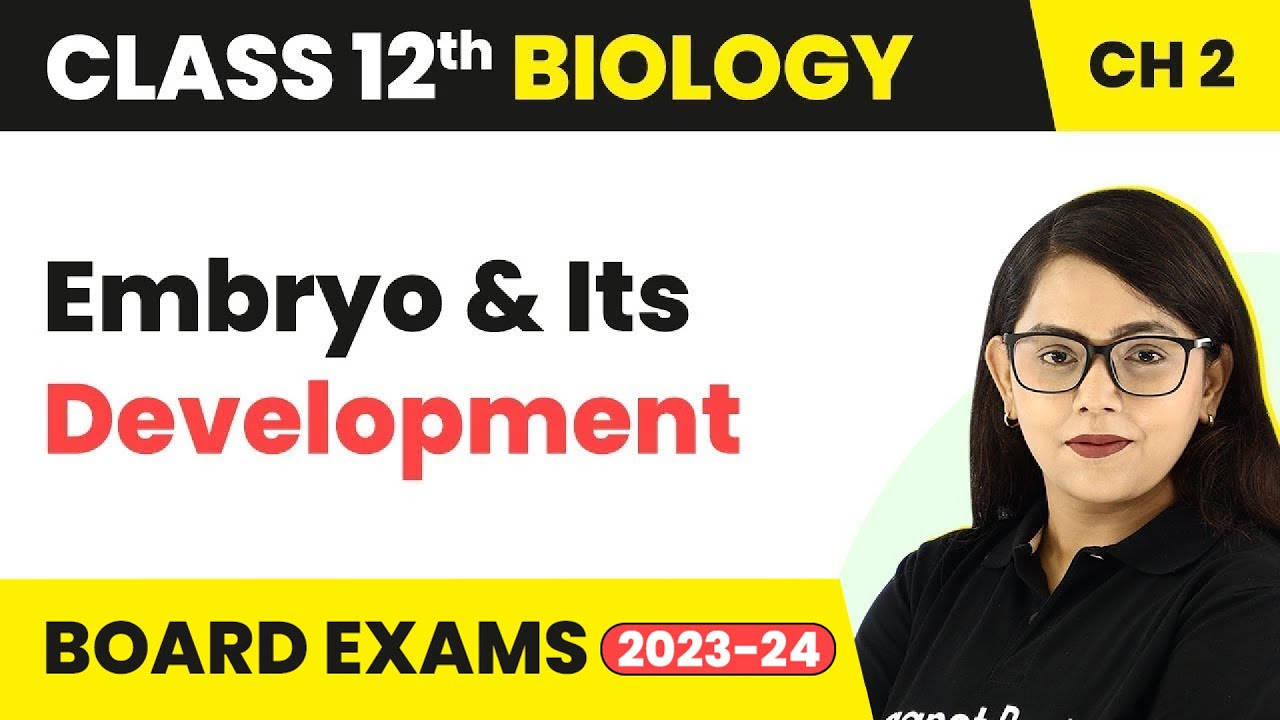 Class 12 Biology Ch 2 | Embryo & Its Development-  Sexual Reproduction in Flowering Plants CBSE/NEET