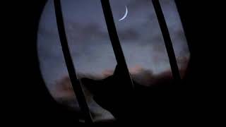 Download lagu story wa(Sephia) mp3